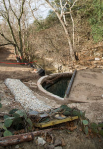 Comal River Spring cap before