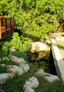 Comal River Spring cap after